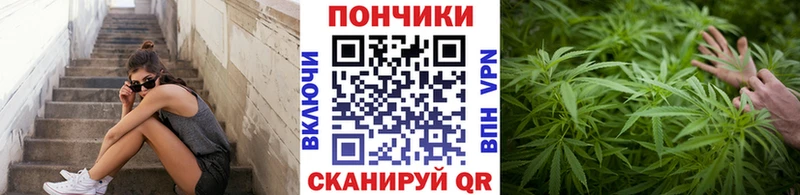 наркошоп  Абаза  Бошки марихуана индика 